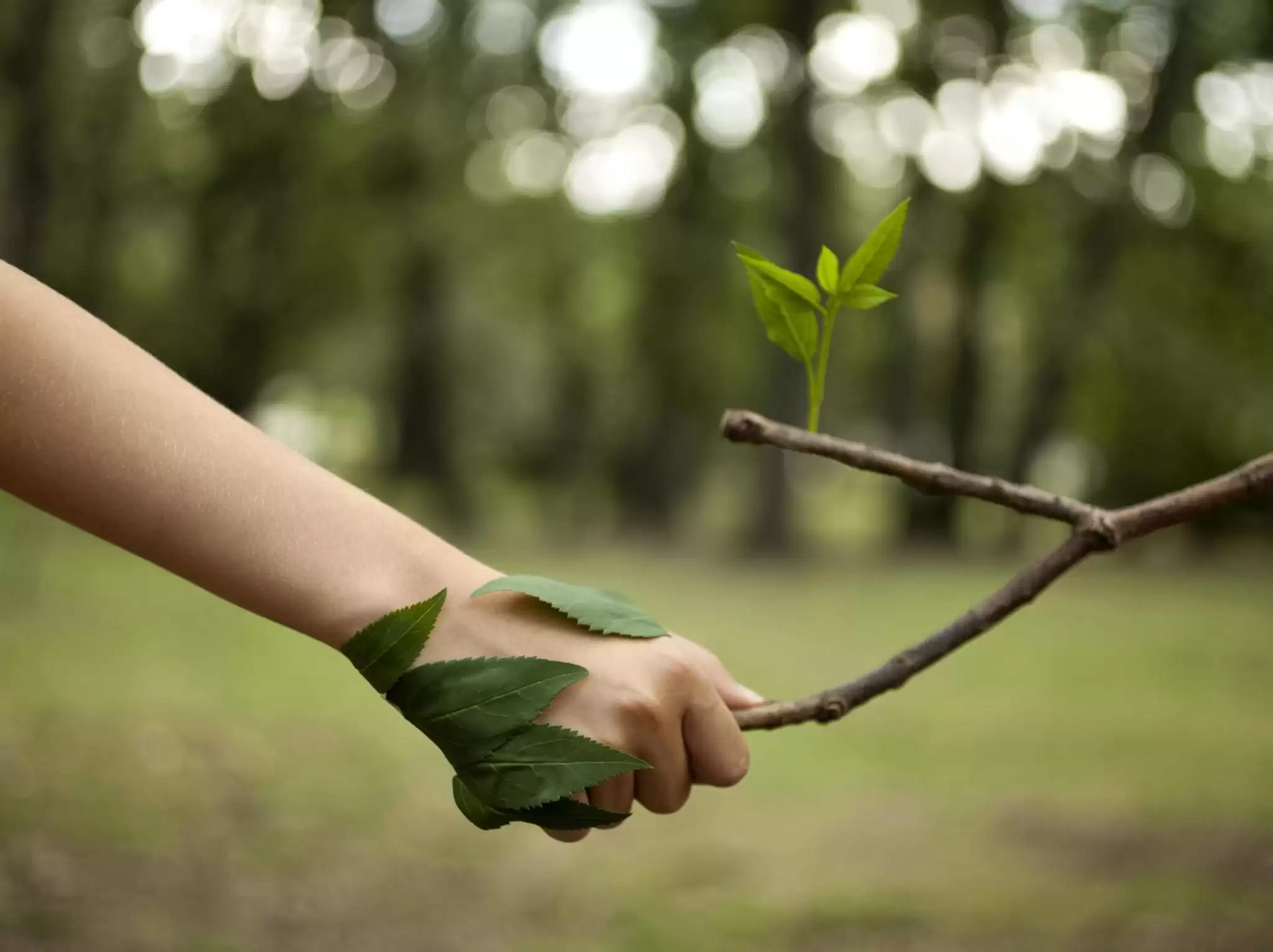 Licenciamento Ambiental: entenda a sua importância